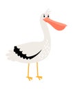 Pelican cartoon bird icon Royalty Free Stock Photo