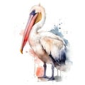 Pelican colorful painting generated by AI Royalty Free Stock Photo