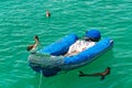 Pelican on a Dinghy