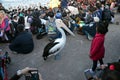 Pelican Feeding Show at The Entrance