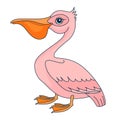 Pelican. Figure stylized cartoon style. Isolated background.