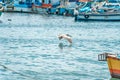 A pelican flies over the ocean near fishing boats Royalty Free Stock Photo