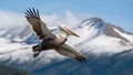 Pelican in Flight Majestic Bird Soaring Over Snow Capped Mountains
