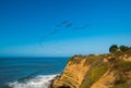 Pelican flock Over The Pacific