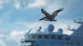 Pelican is flying in front of a bridge of a cruise ship in the C Royalty Free Stock Photo