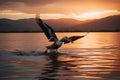 Pelican flying over the lake at sunset with mountains in the background