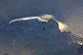 Pelican flying under dark clouds with rainbow