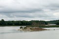 Pelican, Heron, and Cormorant Rookery on Pigeon Lake Island Royalty Free Stock Photo