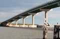 Pelican and Hindmarsh Island Bridge Royalty Free Stock Photo