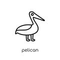 Pelican icon. Trendy modern flat linear vector Pelican icon on w Royalty Free Stock Photo