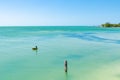 Pelican swimming in isla de los pajaros, holbox Royalty Free Stock Photo