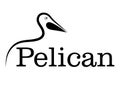 Pelican line drawing Royalty Free Stock Photo
