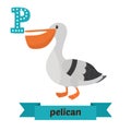 Pelican. P letter. Cute children animal alphabet in vector. Funny cartoon animals Royalty Free Stock Photo