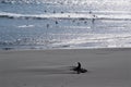 Pelican pod rushes low over incoming ocean tide behind man sitting on beach