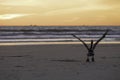 A Pelican prepares to take off at sunset Royalty Free Stock Photo