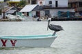 Pelican resting on a boat, mexican village in a background