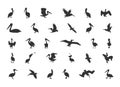 Pelican Silhouette, Brown Pelican Silhouette, Pelican Silhouettes, Bird Silhouettes, Pelican Vector Royalty Free Stock Photo