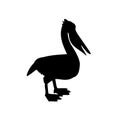 Pelican silhouette vector