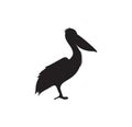 Pelican silhouette Royalty Free Stock Photo