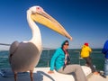 Pelican sitting on a boat next to tourists on a cruise in Walvis Bay.