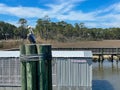 Pelican Sitting on Pilings in Front of a Live Bait Sign Royalty Free Stock Photo