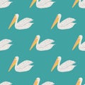 Pelican sitting seamless pattern. Background of sea birds