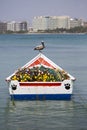 Pelican standing on a fisher boat, Margarita Island