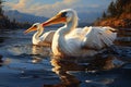Pelican swimming in a lake at sunset, 3D rendering AI generated Generative AI