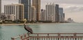 Pelican On top Of Pier in Sunny Isle Beach Florida Royalty Free Stock Photo