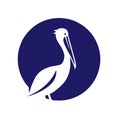 Pelican vector icon on white background. Flat vector pelican icon symbol sign from modern animals collection Royalty Free Stock Photo