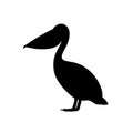 Pelican vector icon on white background. Flat vector pelican icon symbol sign from modern animals collection Royalty Free Stock Photo