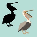 Pelican vector illustration flat style black silhouette Royalty Free Stock Photo