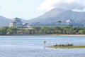 Pelicans and buildings near Cairns in Tropical North Queensland Royalty Free Stock Photo