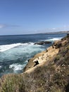 Pelicans on cliff at La Jolla California