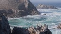 Pelicans flock, rocky cliff island, ocean, Point Lobos, California. Birds flying