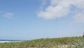 Pelicans fly in sky, California pacific coast USA. Birds and ocean beach. Flock of pelecanus in air. Royalty Free Stock Photo