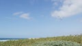 Pelicans fly in sky, California pacific coast USA. Birds and ocean beach. Flock of pelecanus in air. Royalty Free Stock Photo