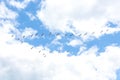 Pelicans flying. Formation of pelicans flying for food Royalty Free Stock Photo