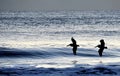 Pelicans flying over the morning waves