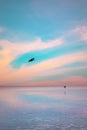 Pelicans flying over the sea in Tobago Caribbean nature sky