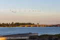 Pelicans flying over the Tampamachoco lagoon in Tuxpan, Veracruz, Mexico