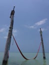 Pelicans in Isla Holbox Royalty Free Stock Photo