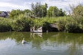 Pelicans at the Lake Tisza Ecocentre in Poroszlo