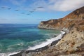 The pelicans over azure water Royalty Free Stock Photo