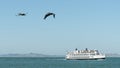 Pelicans over the Pacific Ocean flying by Alcatraz Island with an Alcatraz tour boat in the background Royalty Free Stock Photo