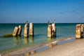 Pelicans perched on pilings over the water on Bonita Beach