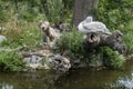 Pelicans resting and enjoying a sunny day at Zoo,  Vienna,  Austria Royalty Free Stock Photo