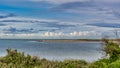 Pelicans at Safety Bay foreshore is an important ecosystem for waterbirds