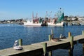 Pelicans Sitting on Pier Trawler Shrimp Boats Royalty Free Stock Photo