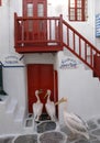 Pelicans waiting in front of a tavern in Mykonos